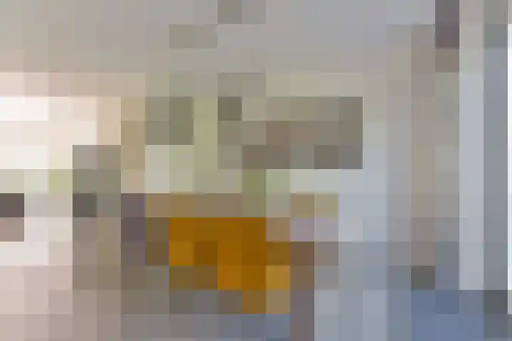 Middelbroek 3 Leusden thumbnail 12