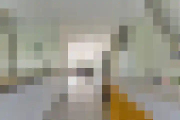 Middelbroek 3 Leusden thumbnail 13