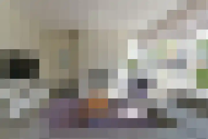 Middelbroek 3 Leusden thumbnail 15