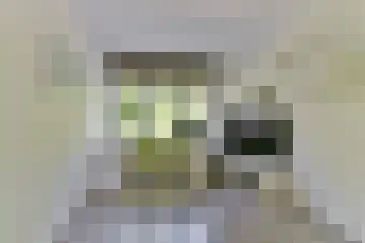 Middelbroek 3 Leusden thumbnail 18