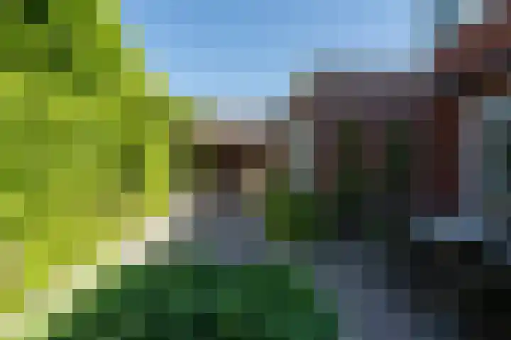 Middelbroek 3 Leusden thumbnail 23