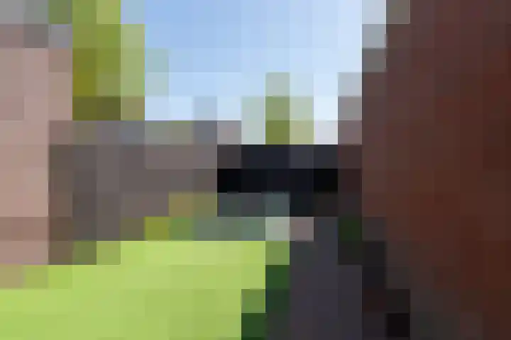 Middelbroek 3 Leusden thumbnail 26
