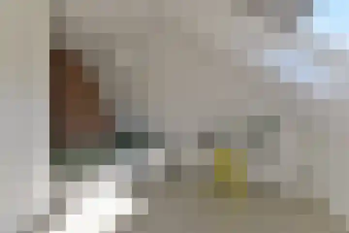 Middelbroek 3 Leusden thumbnail 46