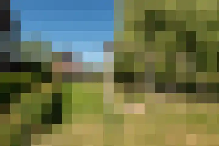 Middelbroek 3 Leusden thumbnail 52
