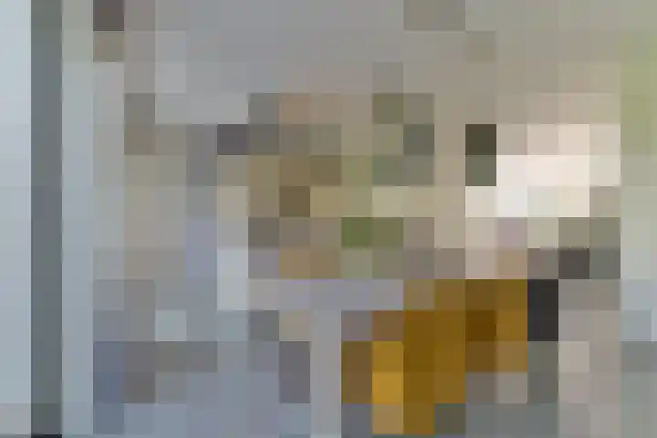 Middelbroek 3 Leusden thumbnail 7