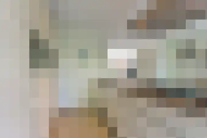 Middelbroek 3 Leusden thumbnail 9