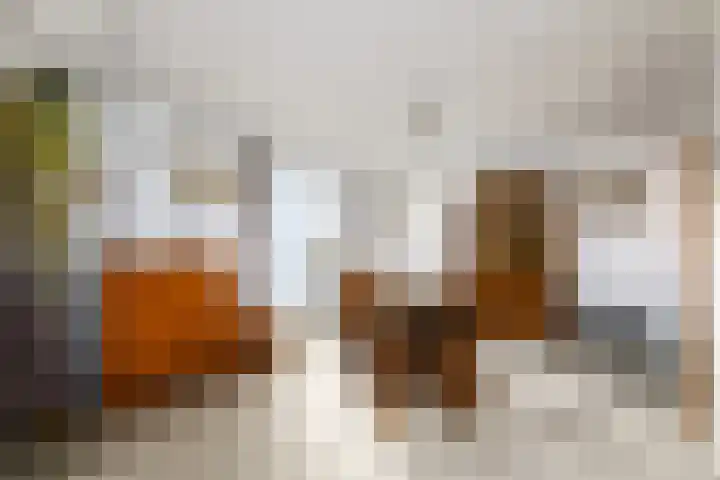 Middelbuorren 20 a Opeinde thumbnail 12