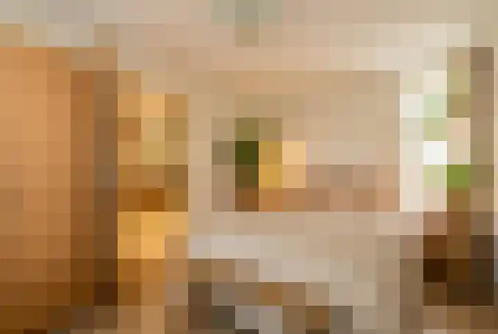 Middelbuorren 20 a Opeinde thumbnail 20