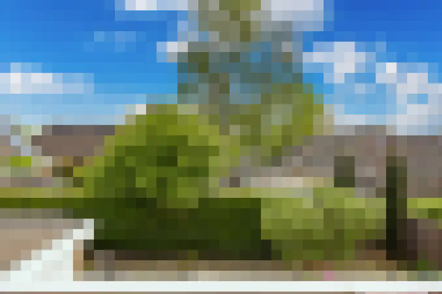 Middelbuorren 29 Opeinde thumbnail 50