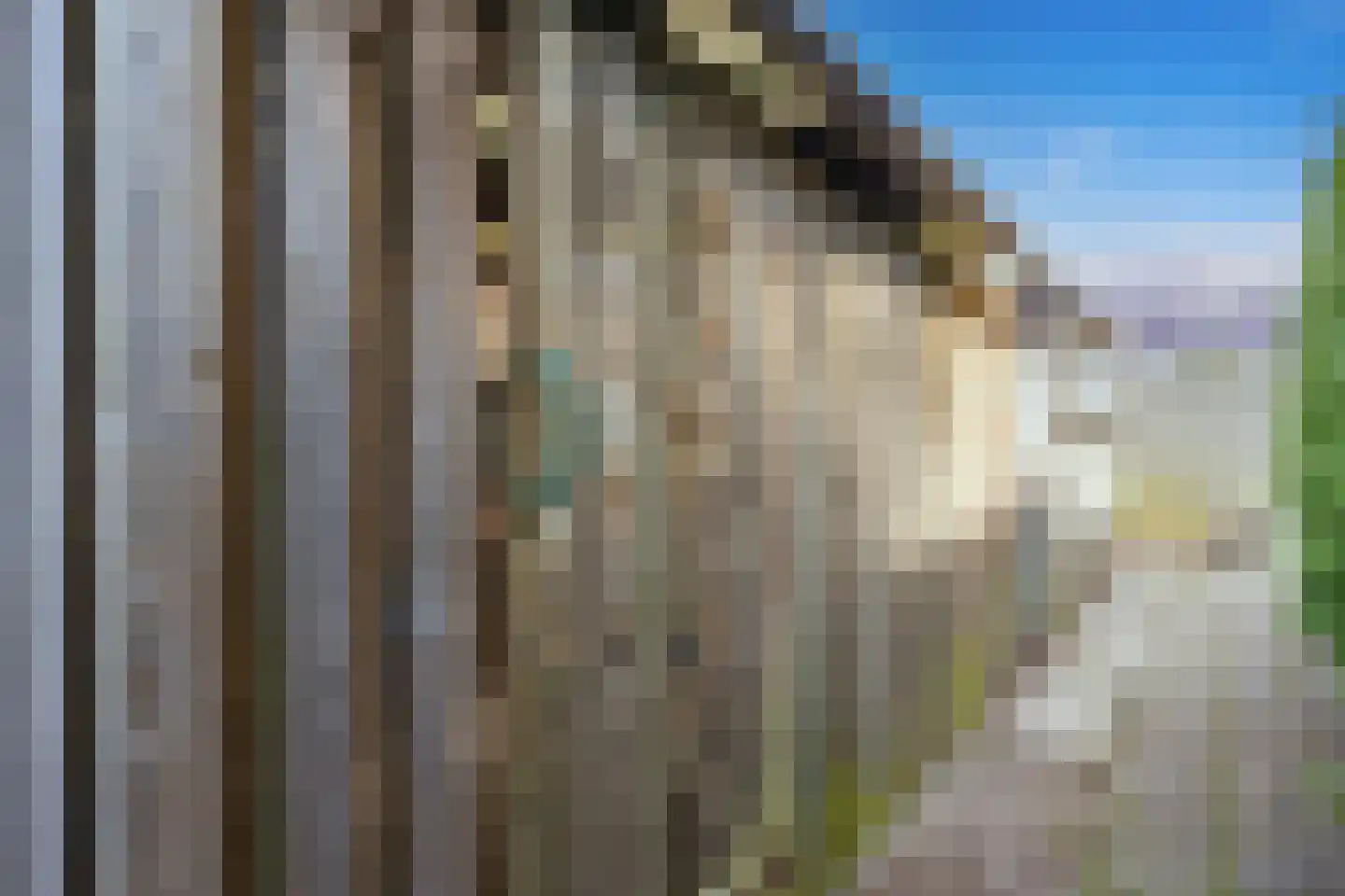 Middelbuorren 29 Opeinde thumbnail 66