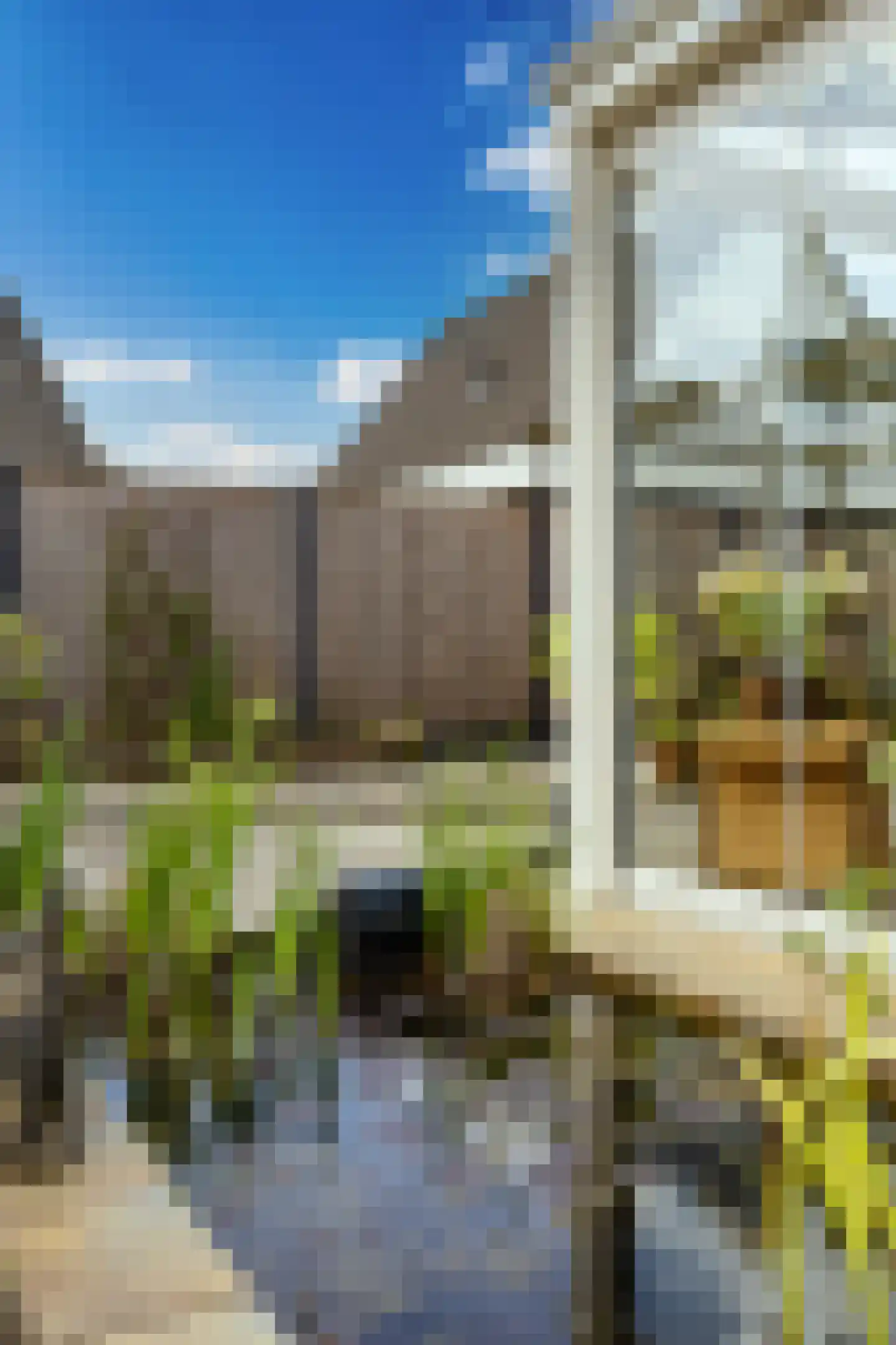 Middelbuorren 29 Opeinde thumbnail 71