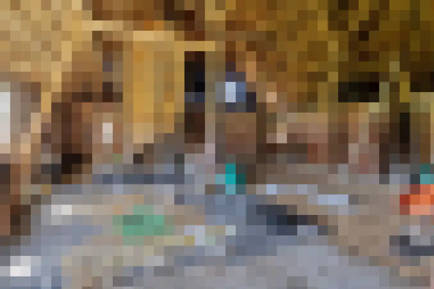 Middelburen 5 Makkinga thumbnail 35
