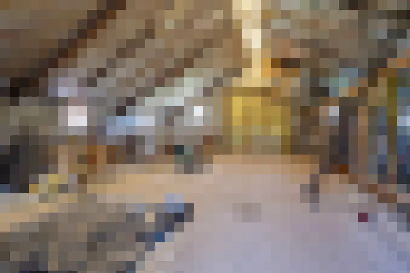Middelburen 5 Makkinga thumbnail 36