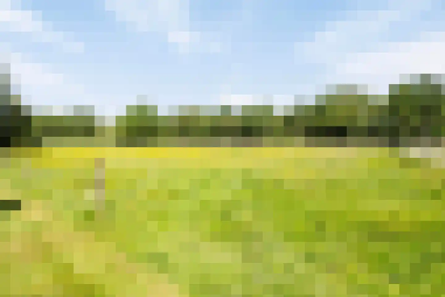 Middelburen 5 Makkinga thumbnail 47