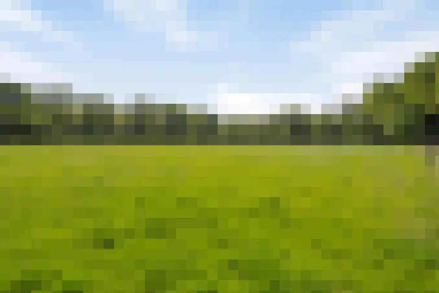 Middelburen 5 Makkinga thumbnail 48