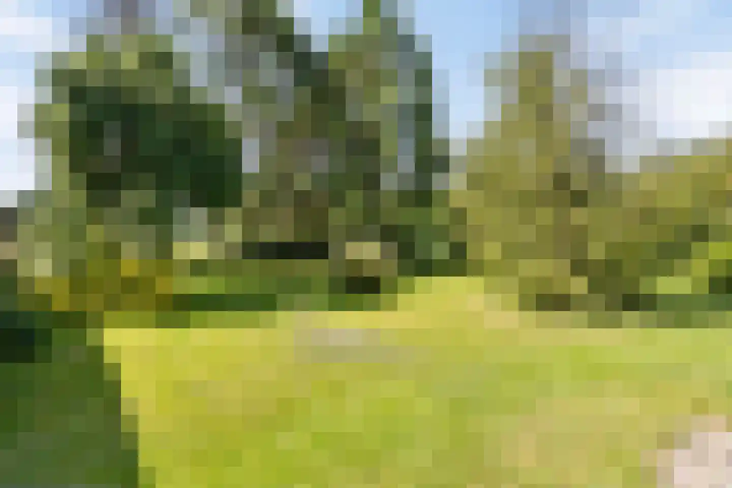 Middelburen 5 Makkinga thumbnail 49