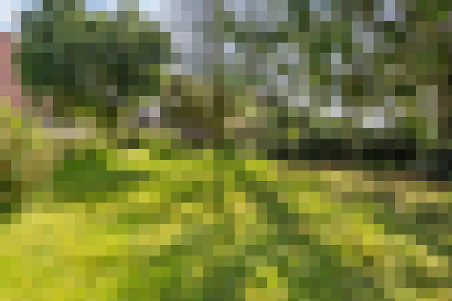 Middelburen 5 Makkinga thumbnail 50