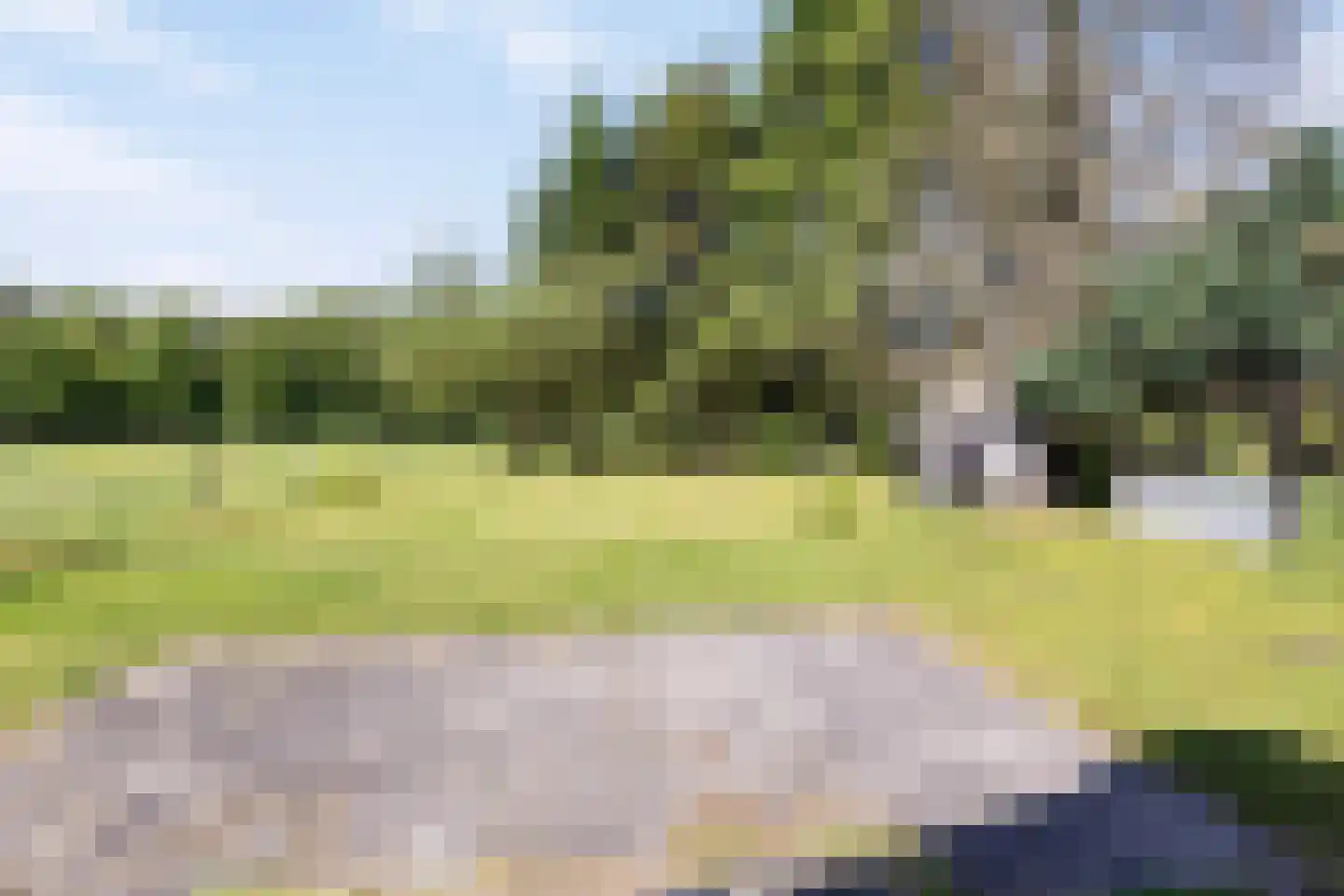 Middelburen 5 Makkinga thumbnail 51