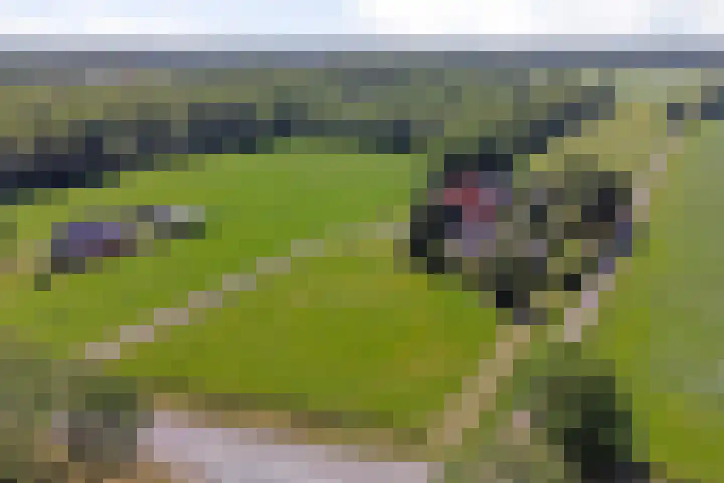 Middelburen 5 Makkinga thumbnail 55