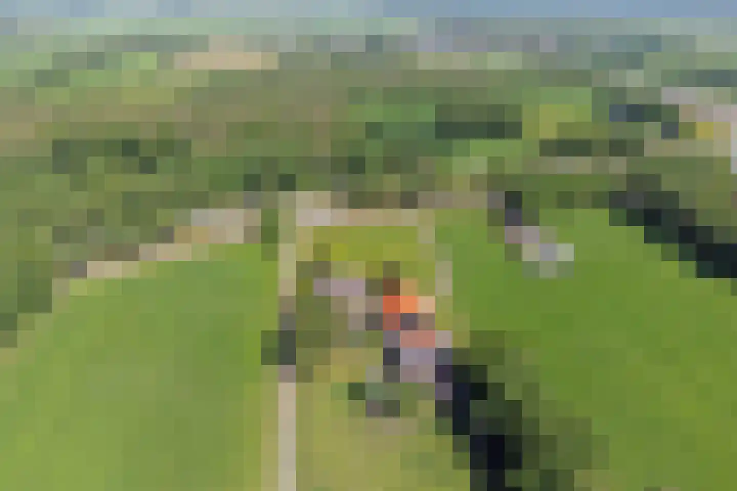 Middelburen 5 Makkinga thumbnail 56