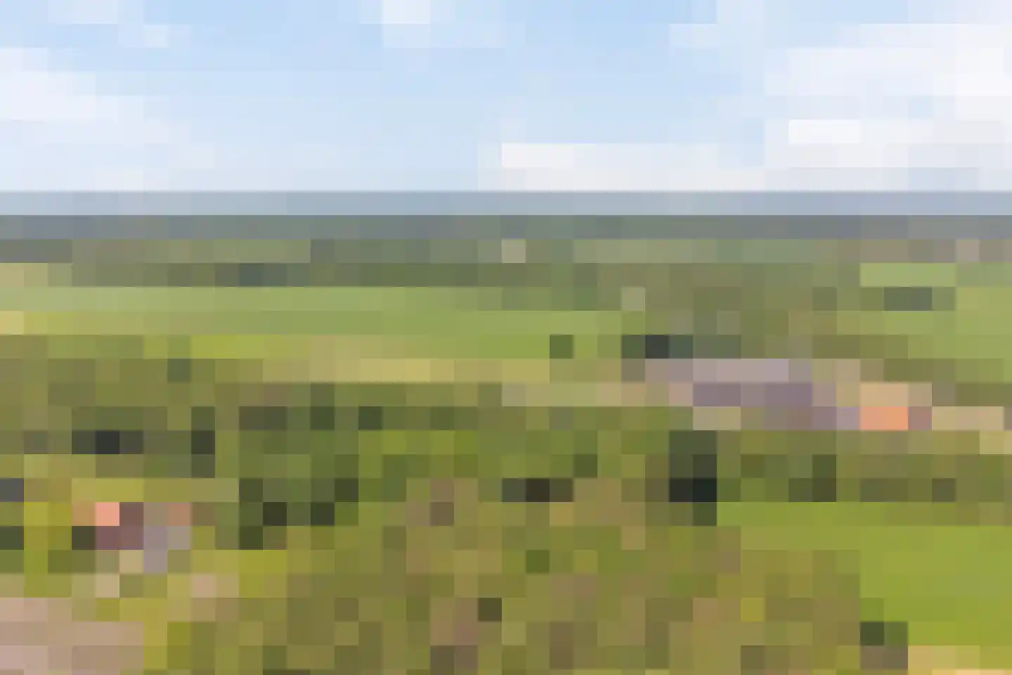 Middelburen 5 Makkinga thumbnail 57