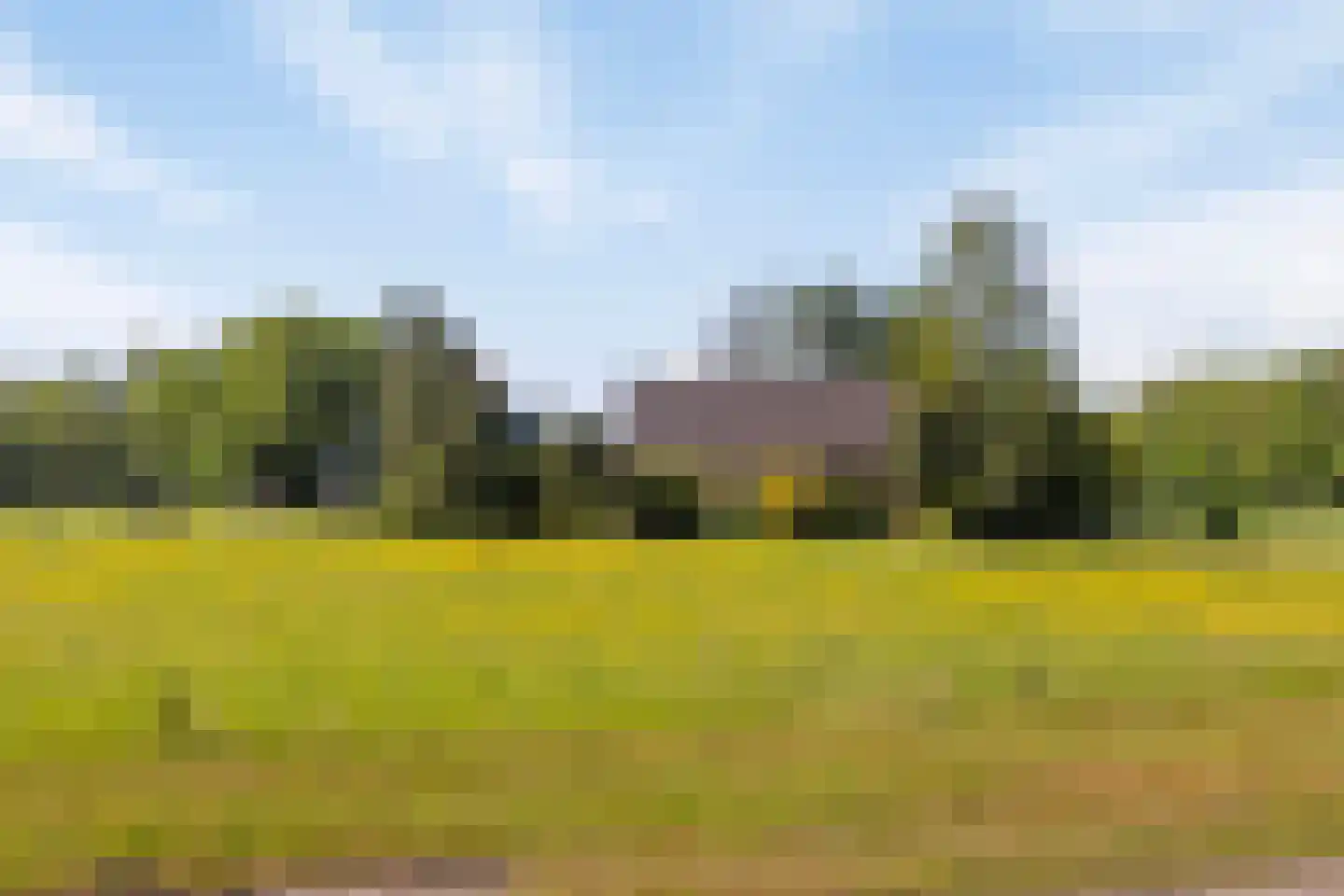 Middelburen 5 Makkinga thumbnail 59