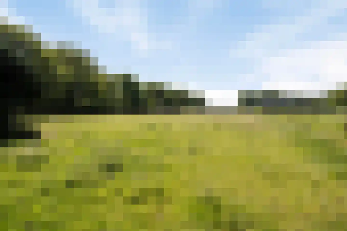 Middelburen 5 Makkinga thumbnail 62