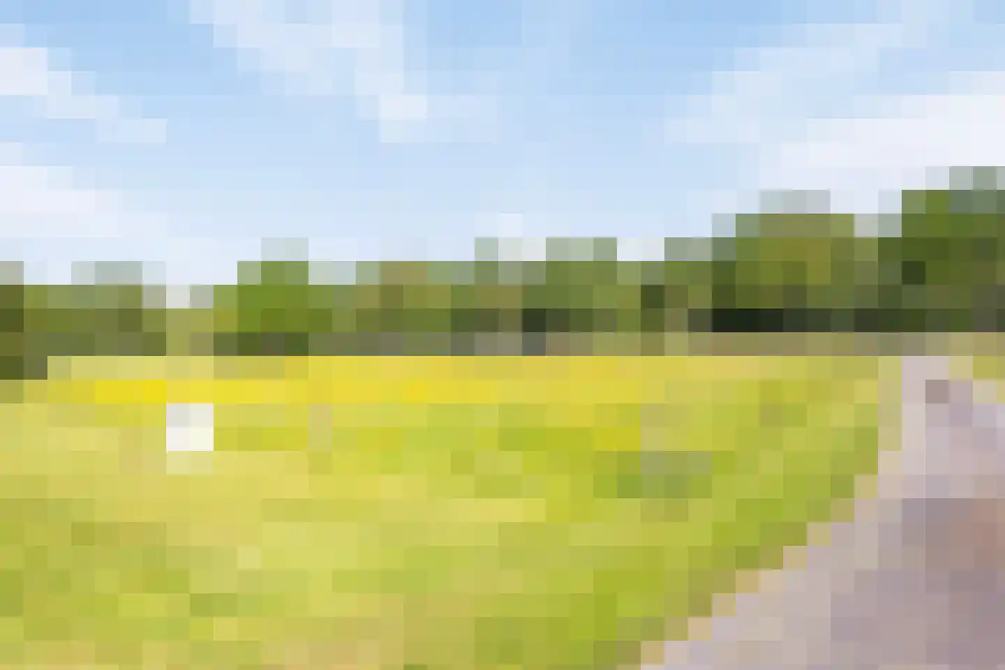 Middelburen 5 Makkinga thumbnail 63