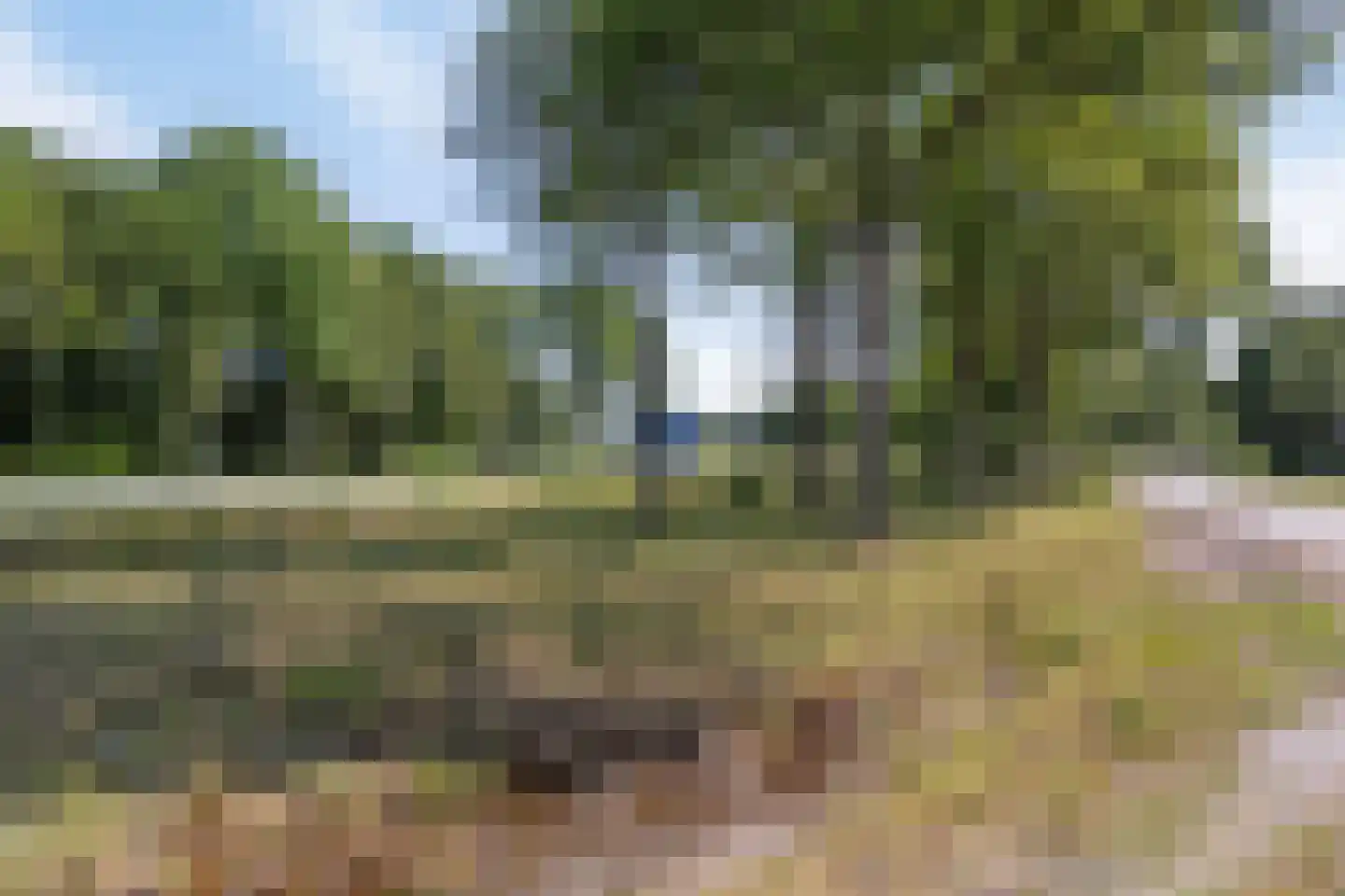 Middelburen 5 Makkinga thumbnail 64