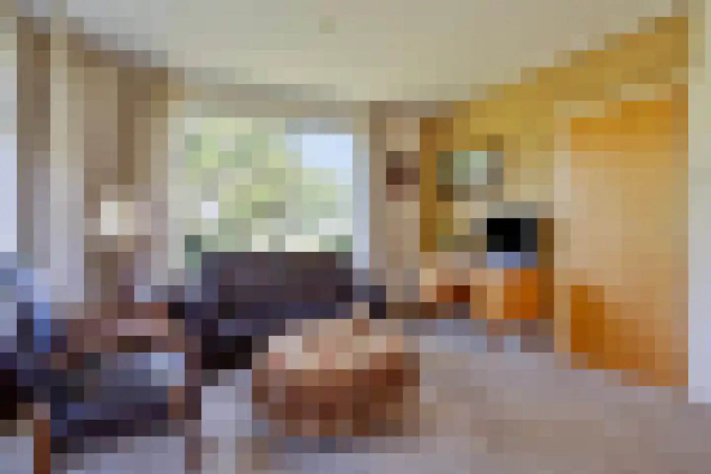 Middelburen 5 Makkinga thumbnail 9