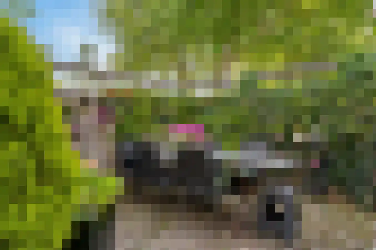 Middelburghof 8 Almere thumbnail 17