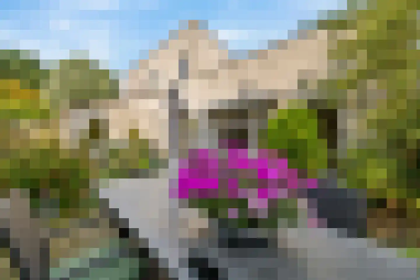 Middelburghof 8 Almere thumbnail 18