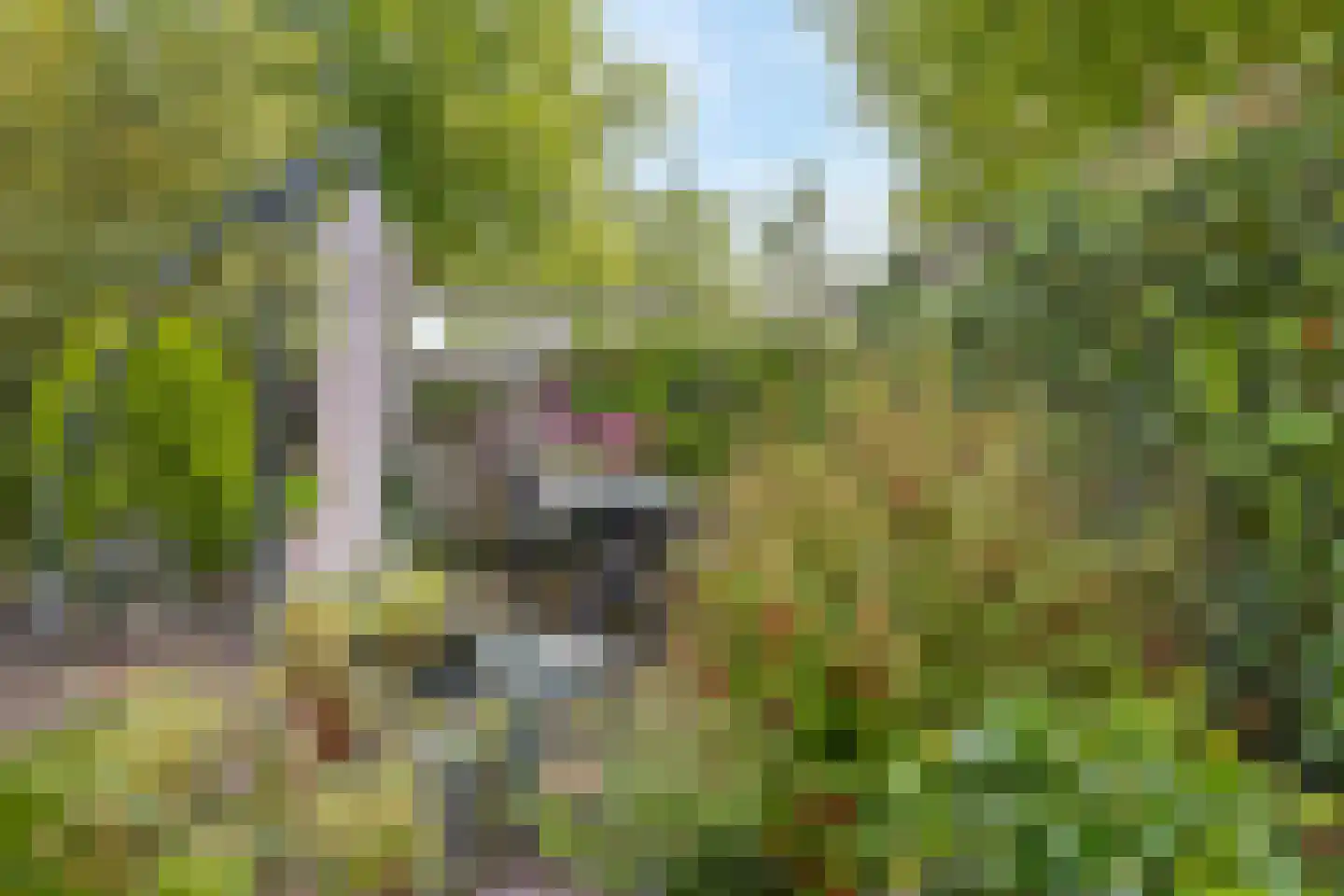 Middelburghof 8 Almere thumbnail 20