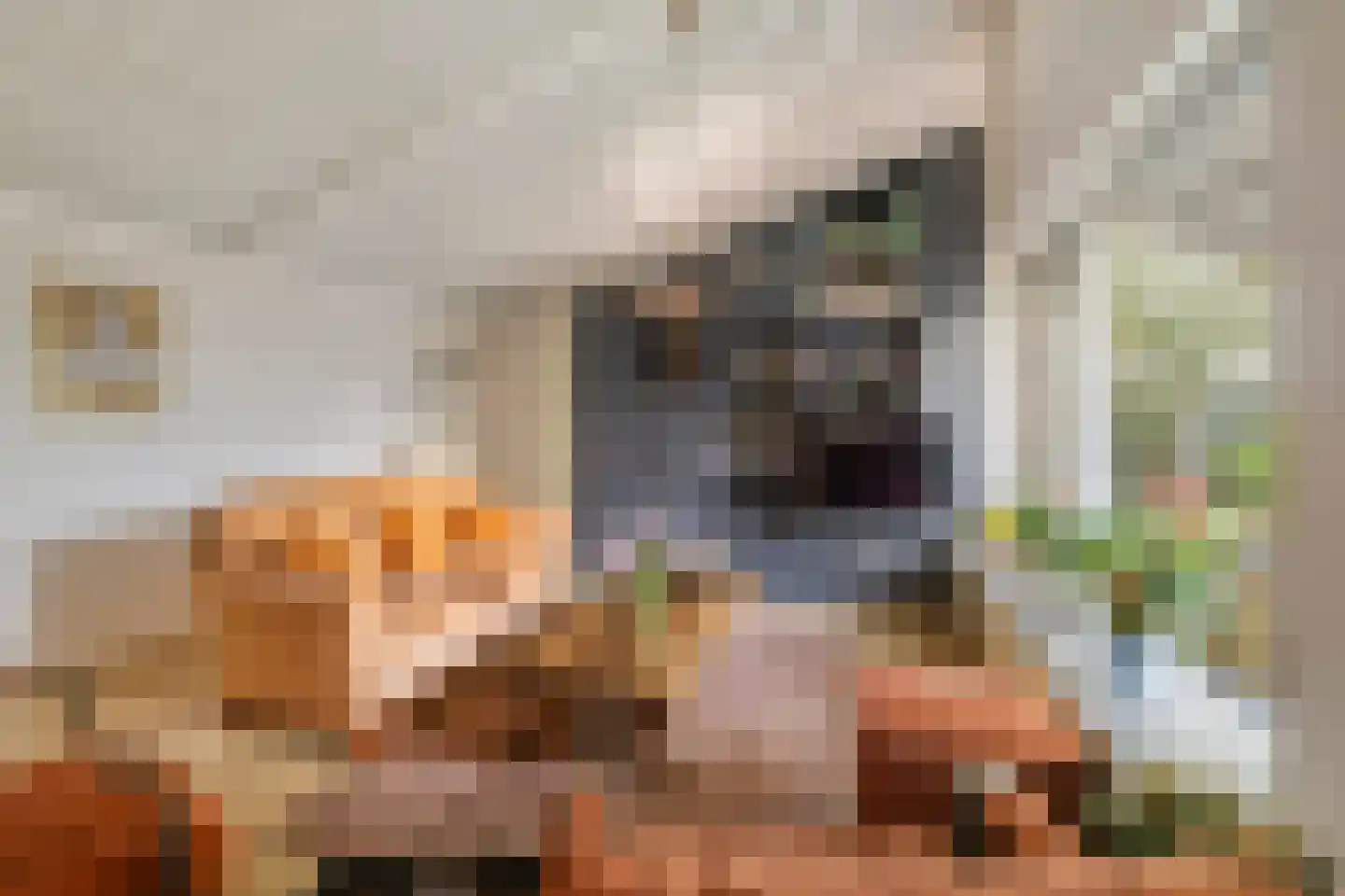 Middelburghof 8 Almere thumbnail 6