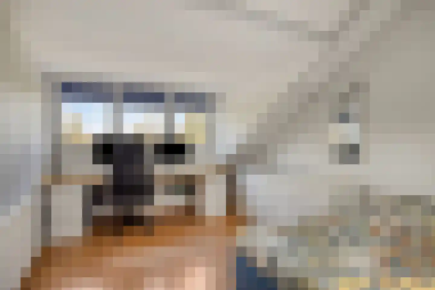 Middelburglaan 20 's-Hertogenbosch thumbnail 30