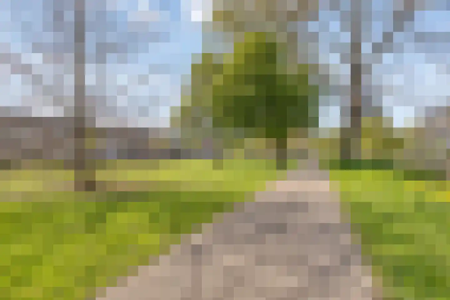 Middelburglaan 20 's-Hertogenbosch thumbnail 4