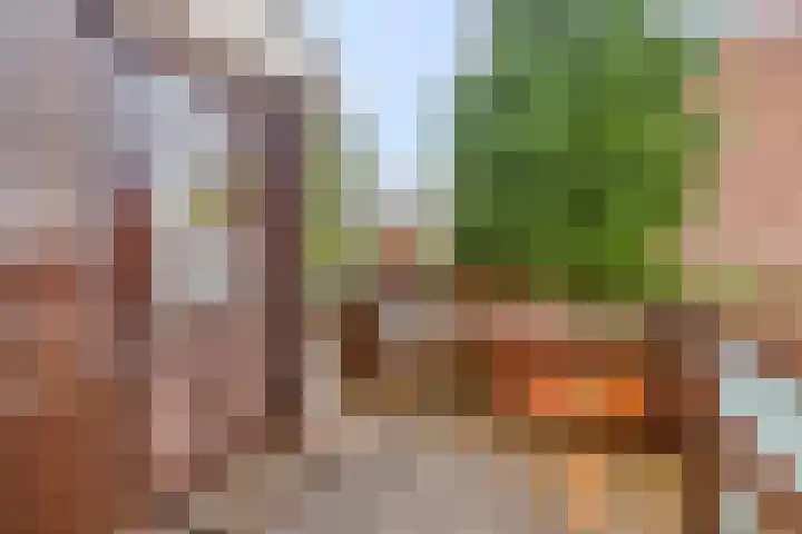 Middelburgsestraat 34 Goes thumbnail 27