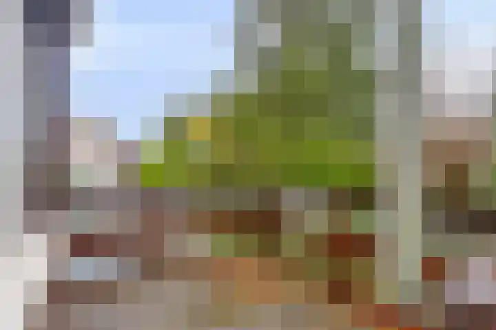 Middelburgsestraat 34 Goes thumbnail 28