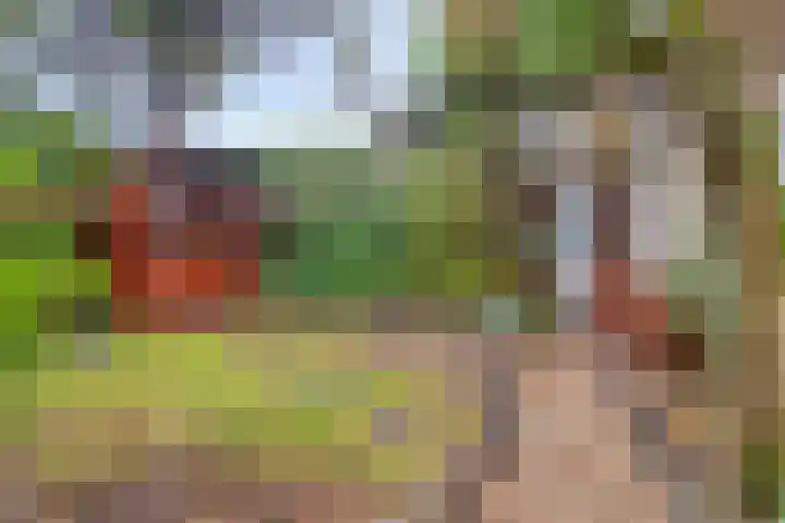 Middelburgsestraat 34 Goes thumbnail 38