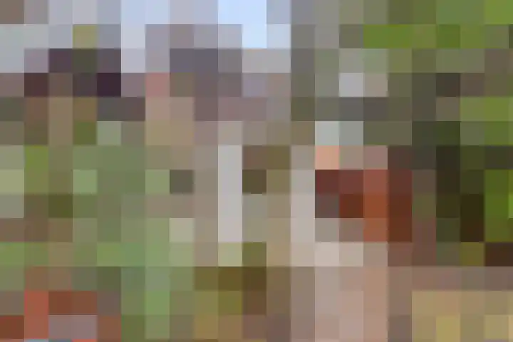 Middelburgsestraat 34 Goes thumbnail 39