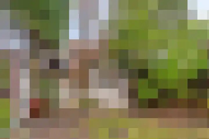 Middelburgsestraat 34 Goes thumbnail 40