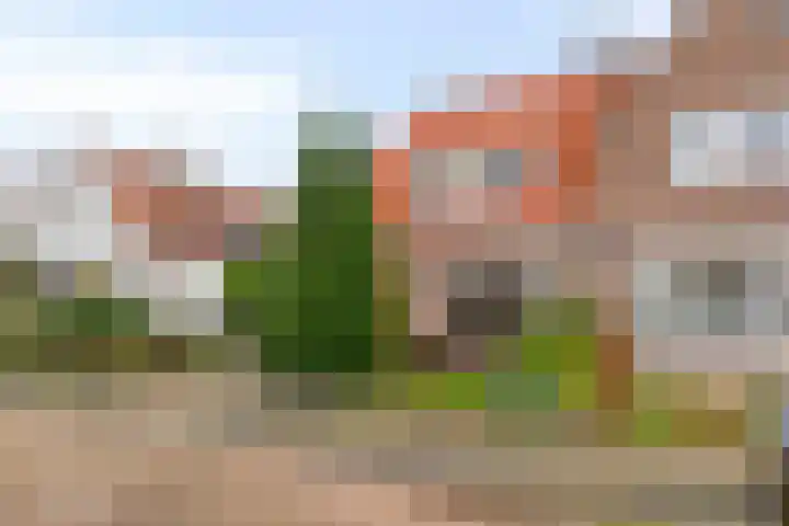Middelburgsestraat 34 Goes thumbnail 5