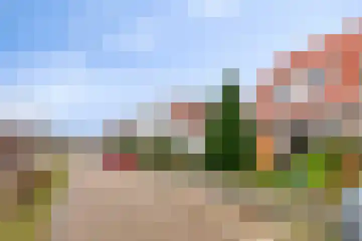 Middelburgsestraat 34 Goes thumbnail 6