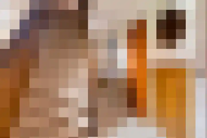 Middelburgsestraat 34 Goes thumbnail 8