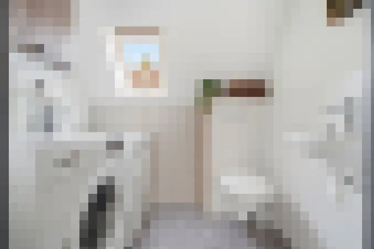 Middelburgsestraat 69 Koudekerke thumbnail 32