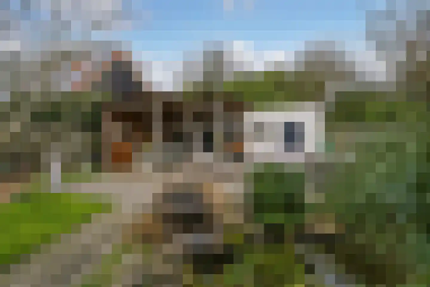 Middelburgsestraat 69 Koudekerke thumbnail 37