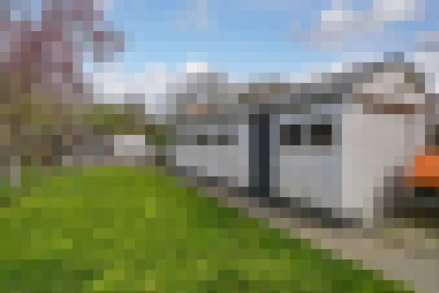 Middelburgsestraat 69 Koudekerke thumbnail 39