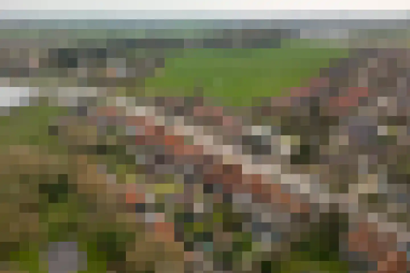 Middelburgsestraat 69 Koudekerke thumbnail 42