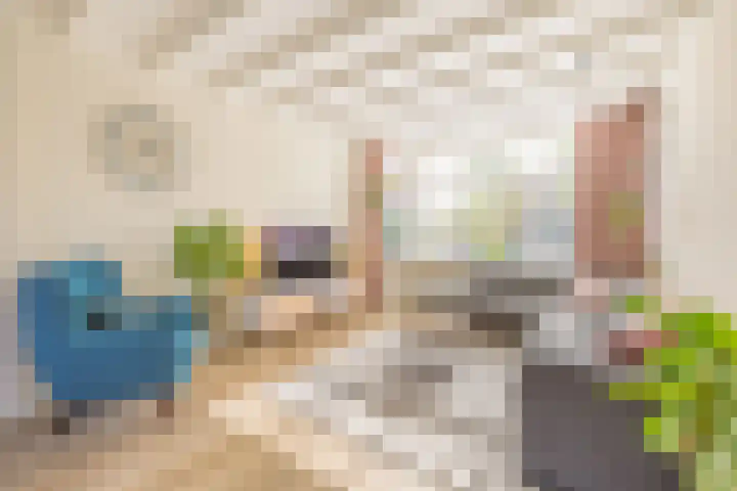 Middelburgsestraat 75 Koudekerke thumbnail 20