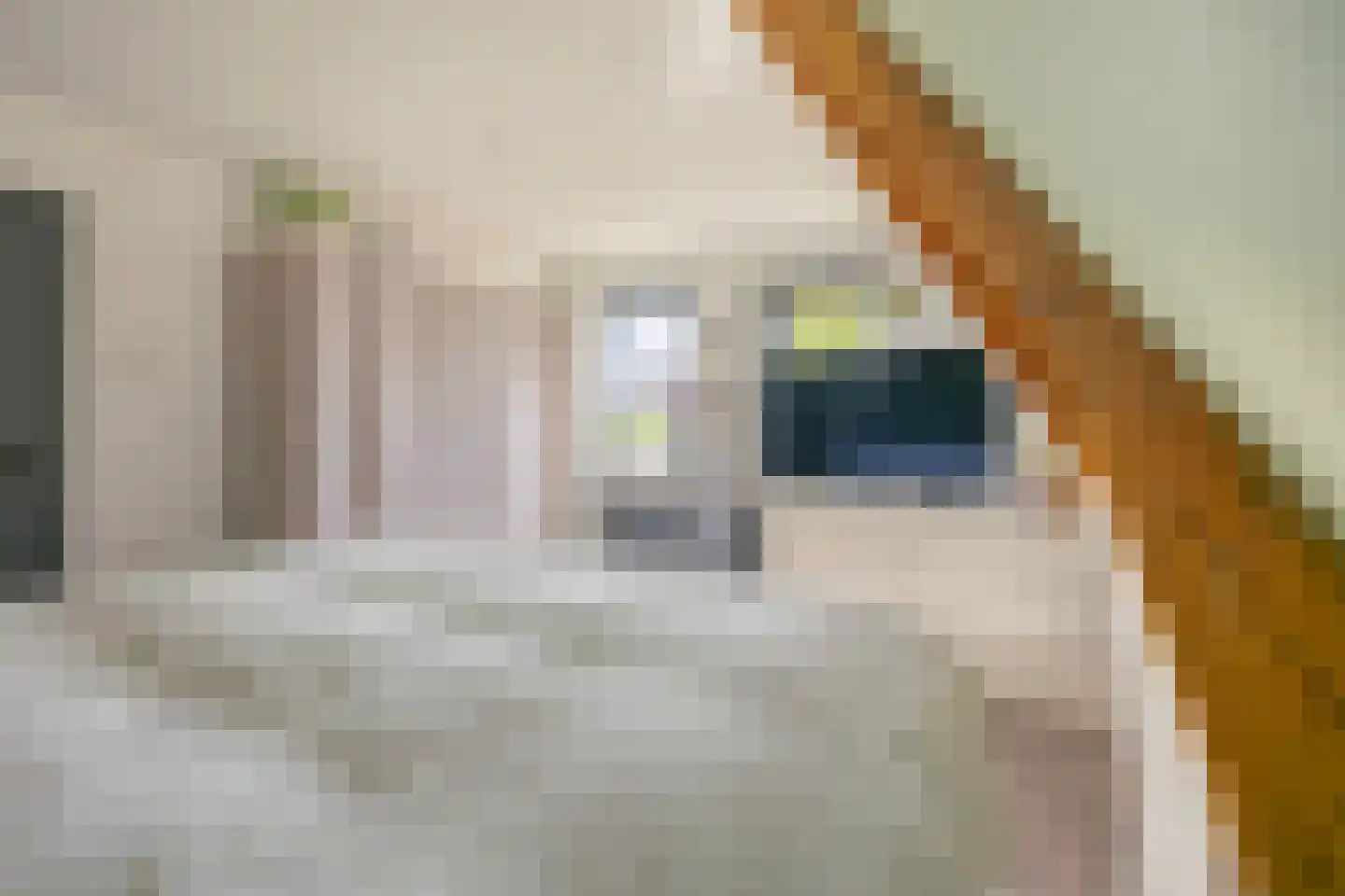 Middelburgsestraat 75 Koudekerke thumbnail 51